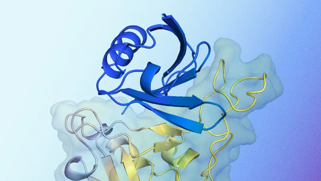 AlphaProteo generates novel proteins for biology and health research